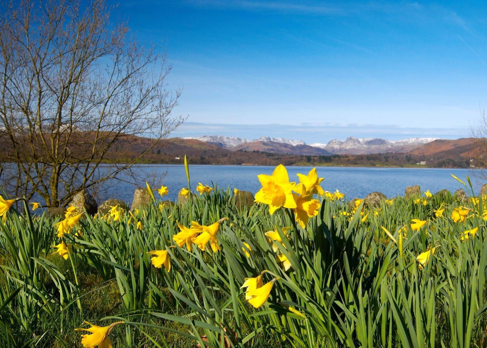 May Cottage B&B Bowness-on-Windermere Eksteriør billede