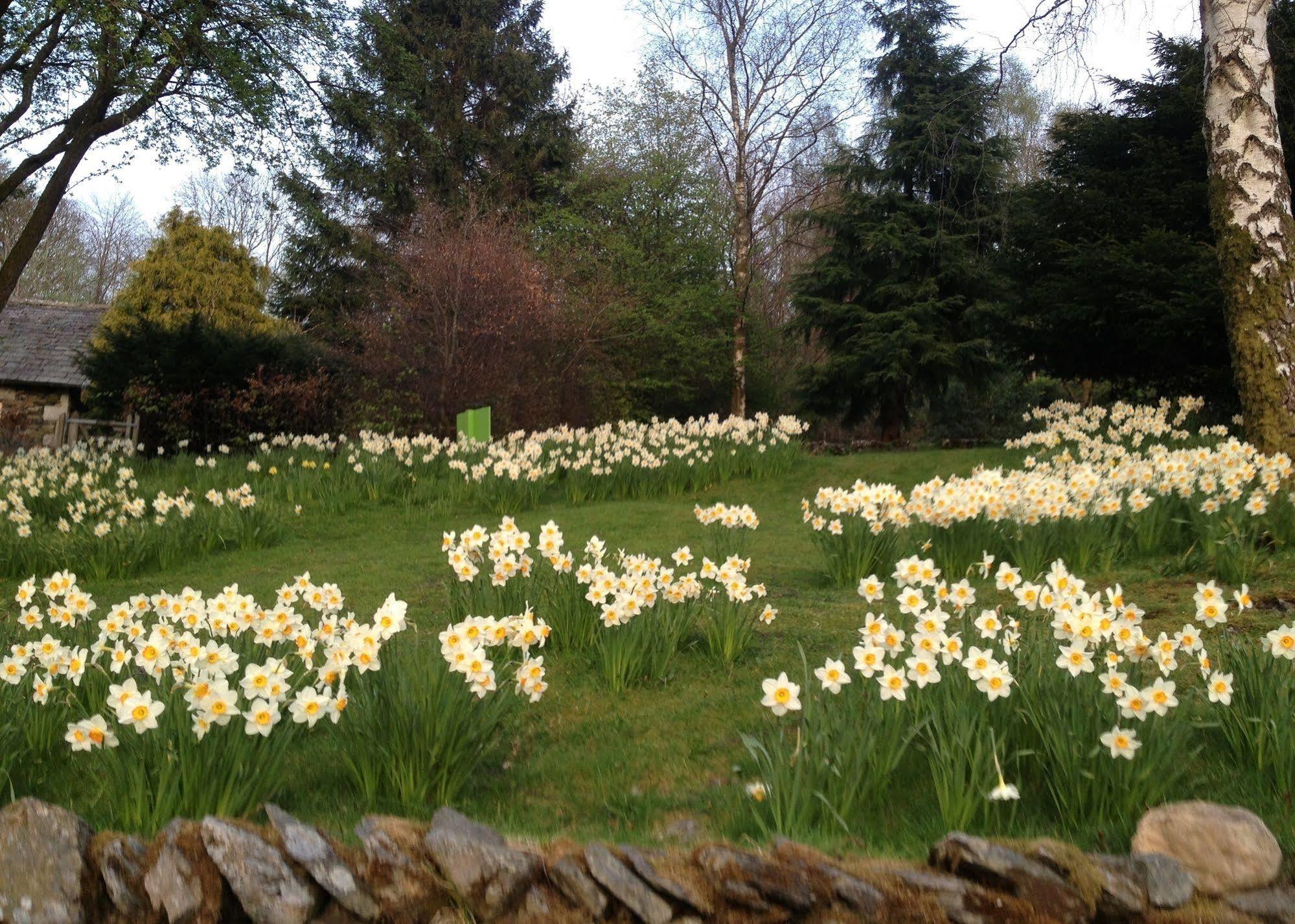 May Cottage B&B Bowness-on-Windermere Eksteriør billede