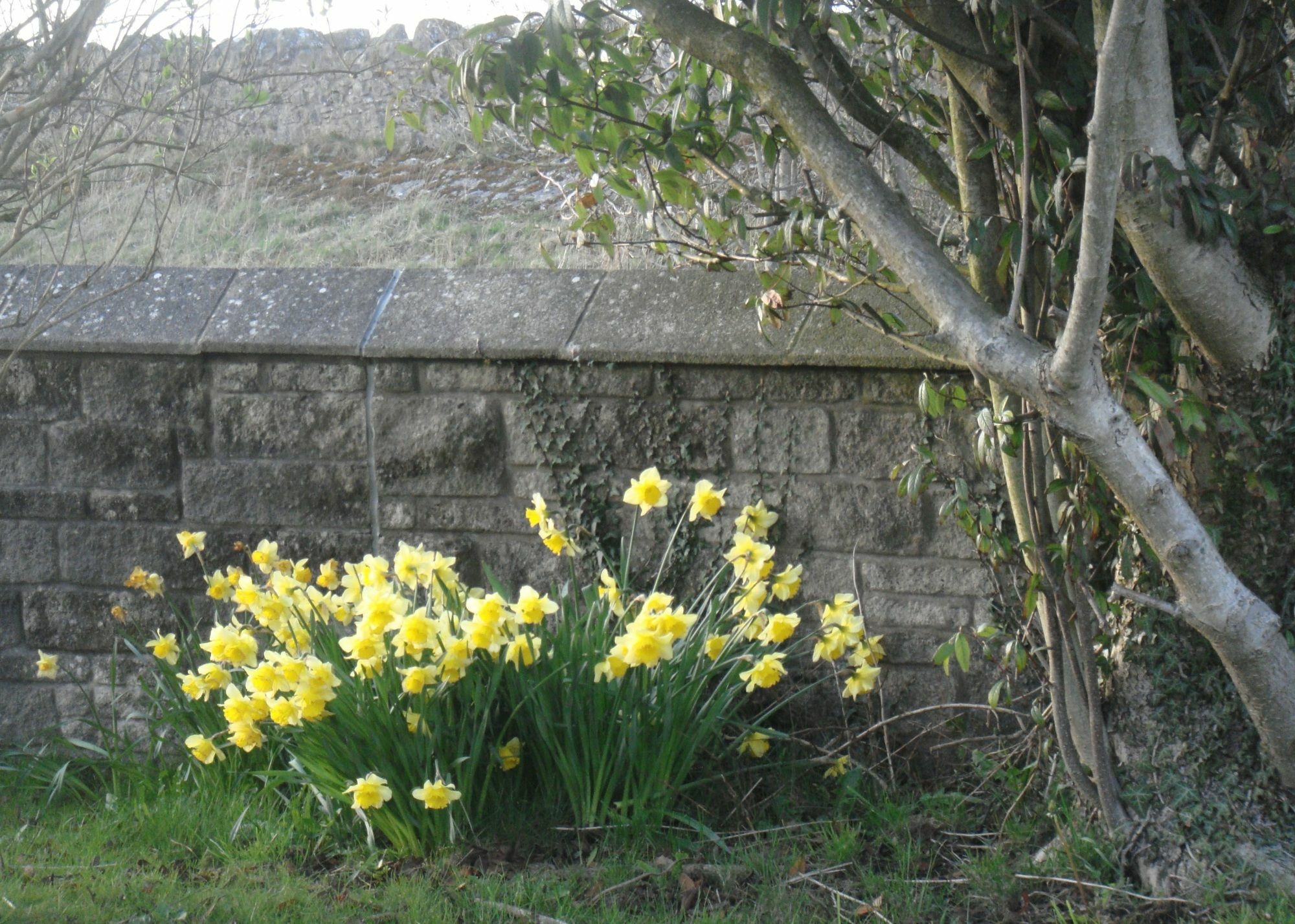 May Cottage B&B Bowness-on-Windermere Eksteriør billede